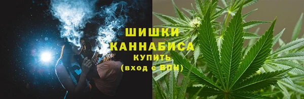 прущие грибы Красноперекопск