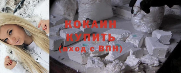 прущие грибы Красноперекопск