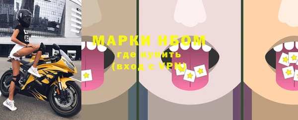 прущие грибы Красноперекопск