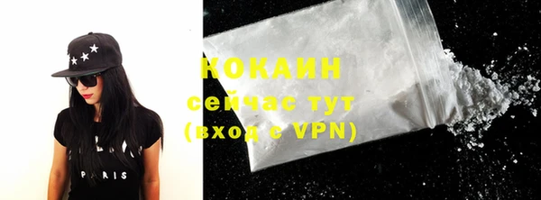 mdpv Краснослободск