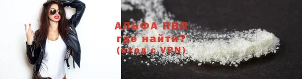прущие грибы Красноперекопск
